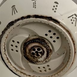 This is the hotels shower heads!!!