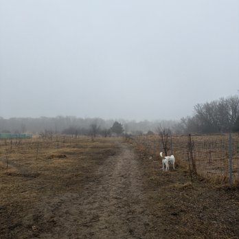 Rice Creek Off-Leash Dog Area - Dog Parks Near Me - Shoreview, Minnesota Rice Creek Off-Leash Dog Area - Dog Parks Near Me - Shoreview, Minnesota