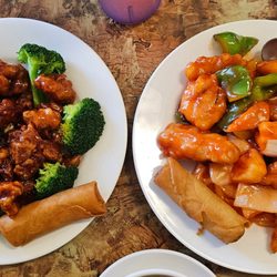 Rice Wok - Orange Chicken and Sweet and Sour Chicken