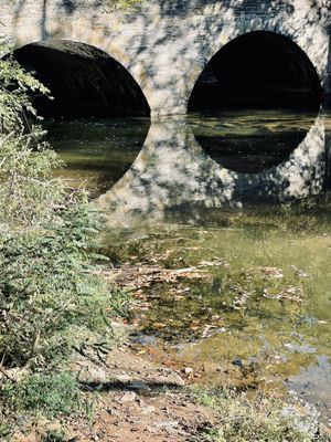 Photo of Wissahickon Valley Trail - Philadelphia, PA, US. Morning glory at Bells Mills Road