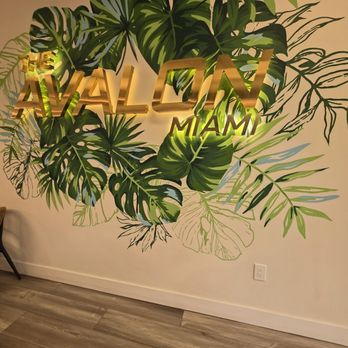The Avalon Miami - Juice Bars & Smoothies Near Me - Miami, Florida