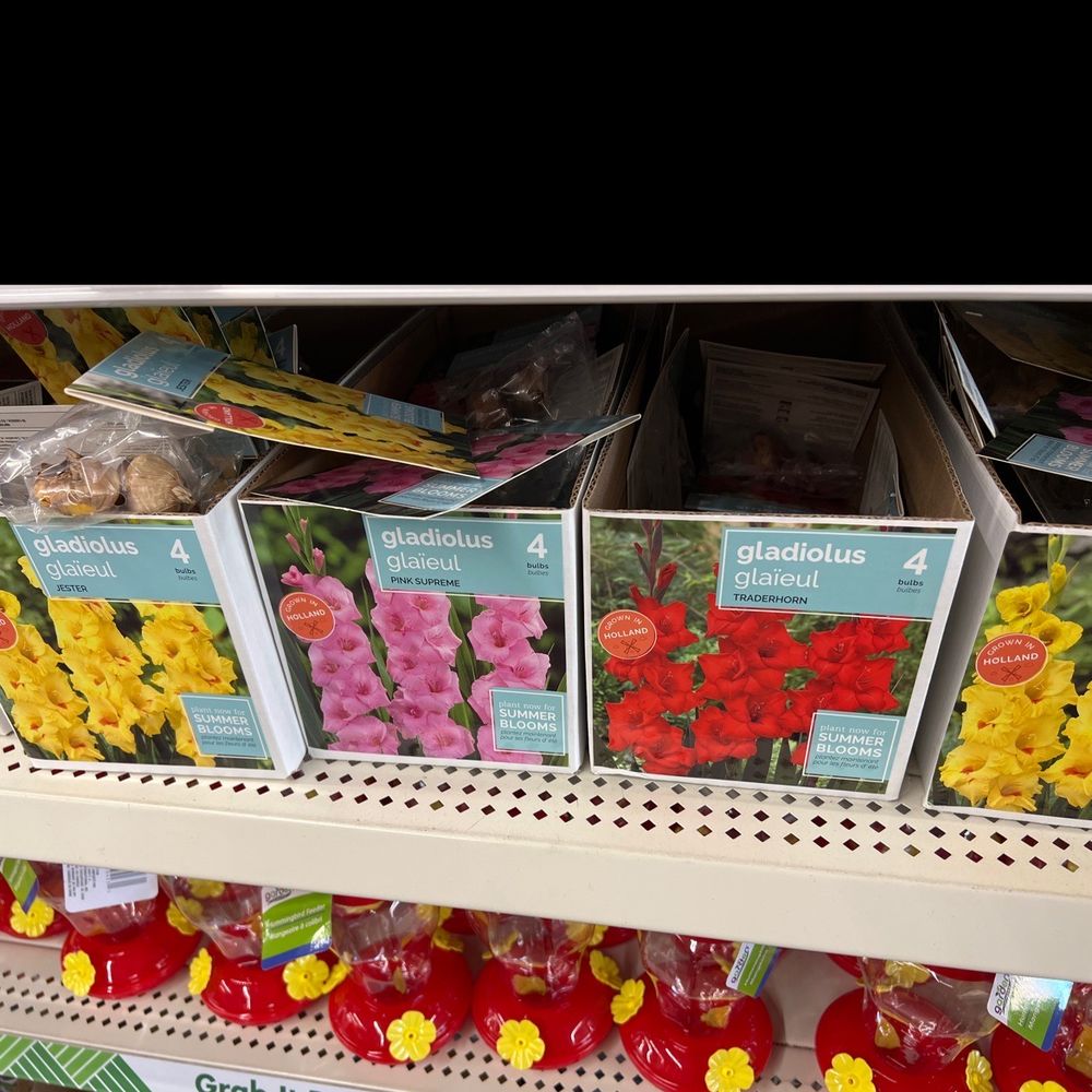 DOLLAR TREE Updated October 2024 20 Reviews 5768 Lindero Canyon