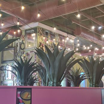 Cantina Louie - Wall art - Mexican Near Me - West Melbourne, Florida Cantina Louie - Wall art - Mexican Near Me - West Melbourne, Florida