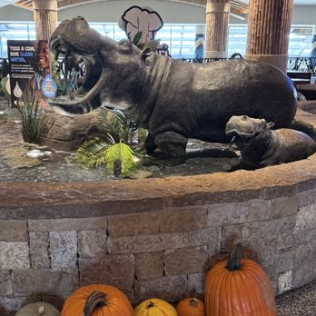 Kalahari Resorts - Resorts Near Me - Round Rock, Texas