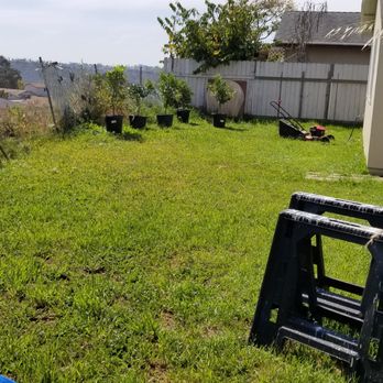 Concrete Creations SD - Before 2 - field of weeds - Masonry/Concrete Near Me