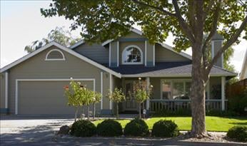 Mayo Tree Company - tree service in Huntington, WV