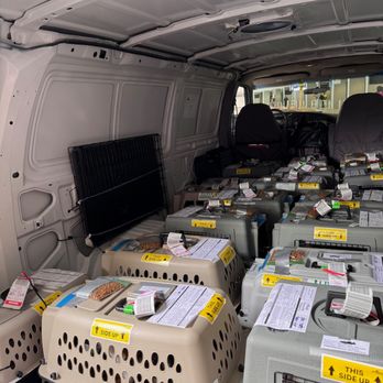 Skoot Premium Pet Transport - cats in transit in the Skoot van, fully AC - Pet Transportation Near Me Skoot Premium Pet Transport - cats in transit in the Skoot van, fully AC - Pet Transportation Near Me