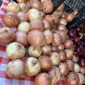 Irvine Farmers Market - Twice the size of grocery store onions! - Farmers Market Near Me - Irvine, California Irvine Farmers Market - Twice the size of grocery store onions! - Farmers Market Near Me - Irvine, California