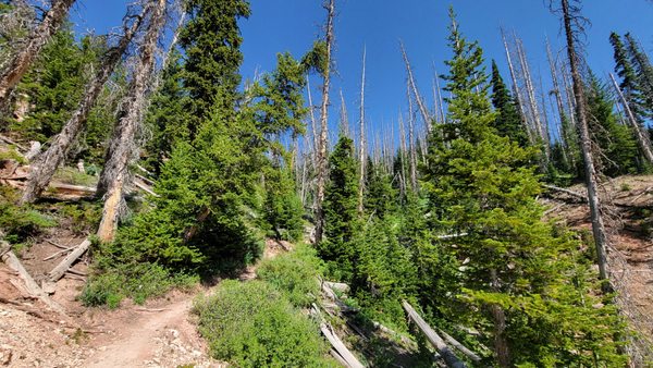 Cedar Breaks National Monument by null