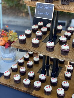 43 & Company by null