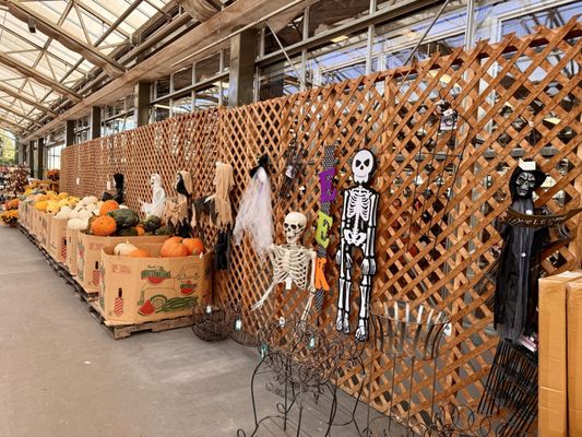 Chuck Hafners Farmers' Market & Garden Center, 7265 Buckley Rd