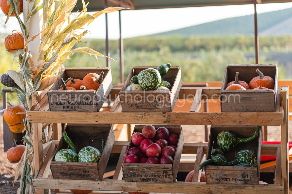 THREE NUNNS FARM Updated September 2024 264 Photos & 103 Reviews