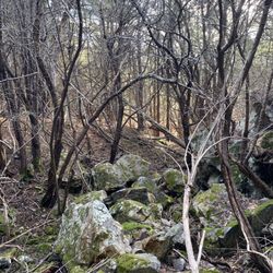 Jennie Lagoulis Reservation - Rocks