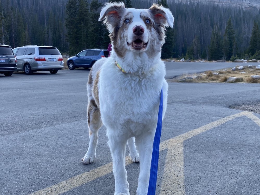 Christus Health - patient advocate in San Antonio, TX