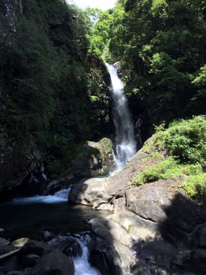 Kawazu Seven Waterfalls by null