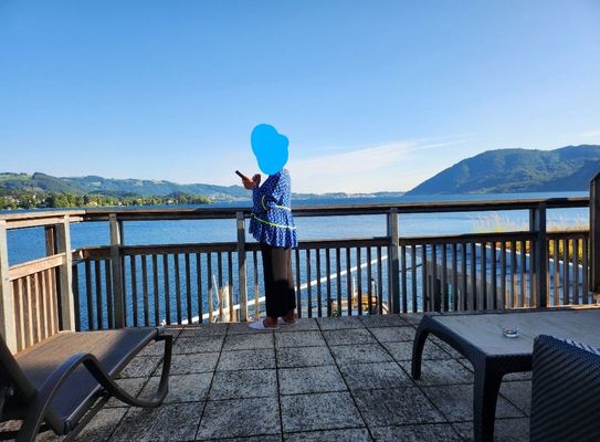 Das Traunsee by null