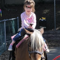 A Child's Journey Montessori School - Face painting and pony rides at the school social!