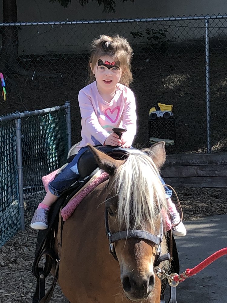 A Child's Journey Montessori School - childcare center in Kirkland, WA