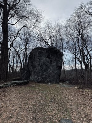 Rockefeller State Park Preserve by null