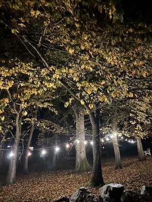 Doe Bay Resort & Retreat by null