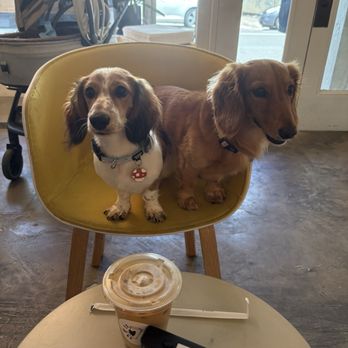 Hello Again - Coffee & Tea Near Me - Honolulu, Hawaii