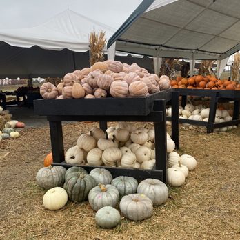 Jilian's Produce - a display of pumpkins - Fruits & Veggies Near Me - Omaha, Nebraska