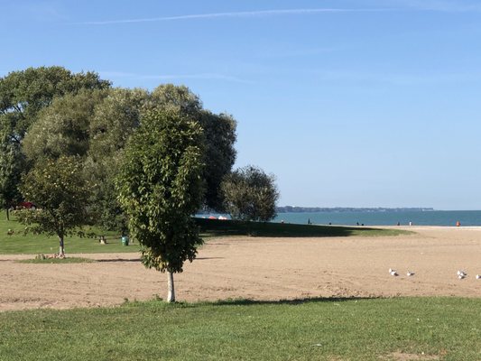 Pennoyer Park by null