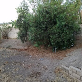 Lucero Tree Service - Before of backyard - Tree Services Near Me Lucero Tree Service - Before of backyard - Tree Services Near Me