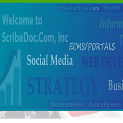 Scribe DOC Com Inc
