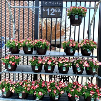 Walmart Supercenter - Garden Center - Department Stores Near Me - Canton, Michigan