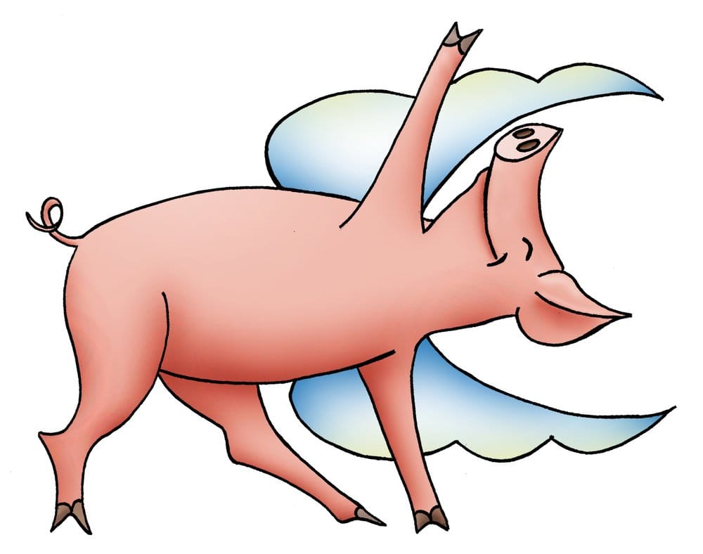 Flying Pig Yoga Logo