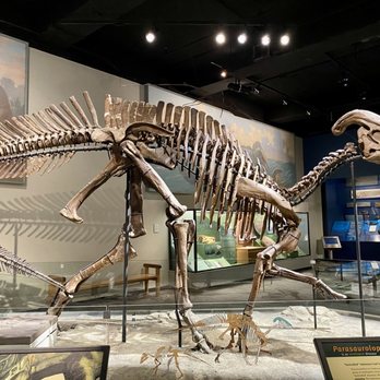 Field Museum - Museums Near Me - Chicago, Illinois Field Museum - Museums Near Me - Chicago, Illinois