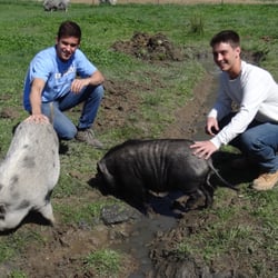 Happy Trails Farm Animal Sanctuary - Volunteers dedicate hours to the success of Happy Trails.