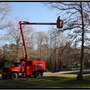 Photo of Blazer Tree Service