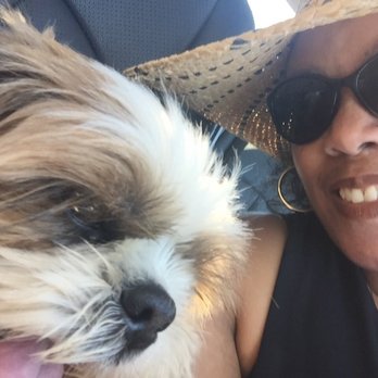 PetSmart - Pet Training Near Me - Hawthorne, California