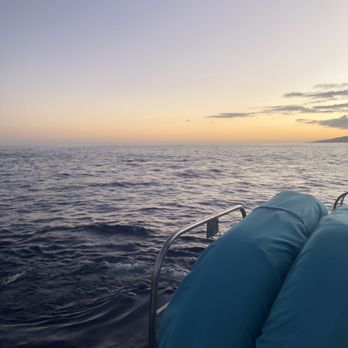 Sea Maui - Whale watching season and sunsets - Boat Charters Near Me - Lahaina, Hawaii Sea Maui - Whale watching season and sunsets - Boat Charters Near Me - Lahaina, Hawaii