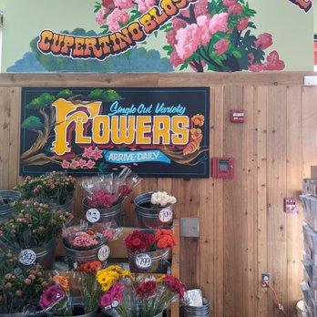 Trader Joe's - Grocery Near Me - San Jose, California Trader Joe's - Grocery Near Me - San Jose, California