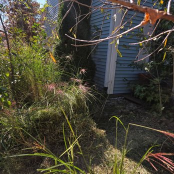 CND Landscape - Oh my! - Lawn Services Near Me - Swansea, Illinois CND Landscape - Oh my! - Lawn Services Near Me - Swansea, Illinois