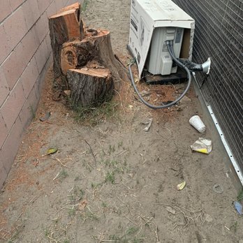 Al’s Tree Care - Tree Services Near Me Al’s Tree Care - Tree Services Near Me