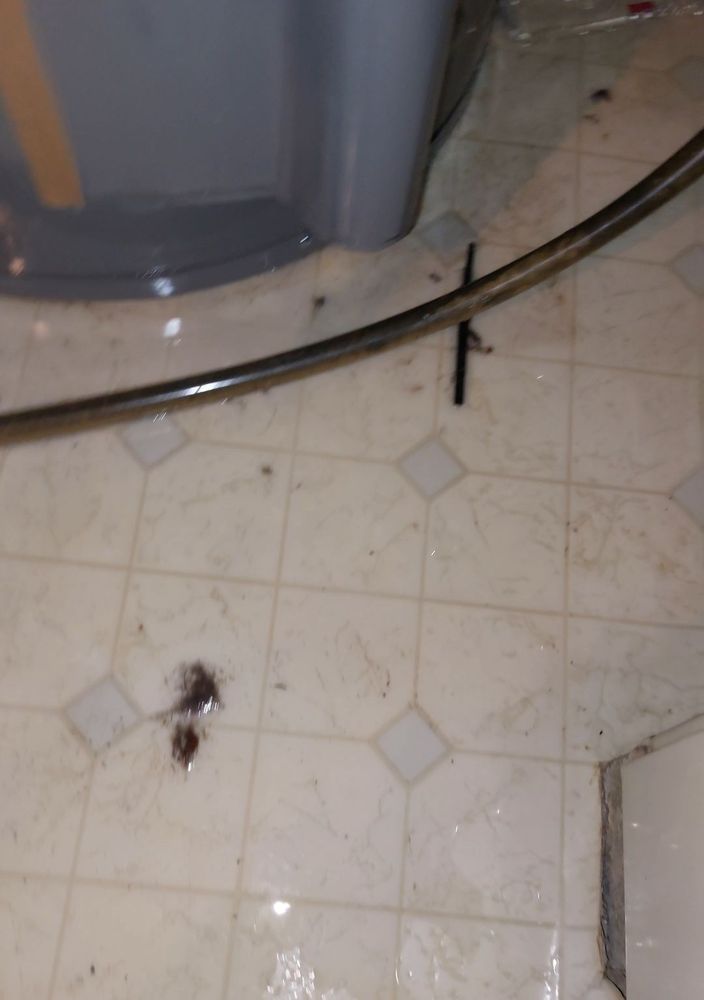 Slide of Alpha Plumbing Company