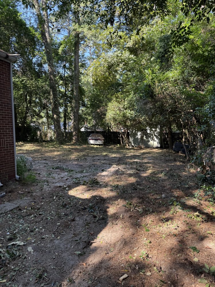 Davis Tree Care - tree service in Gaston, SC