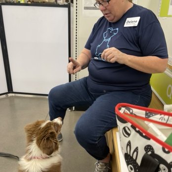 Petco - Dog training at Petco! - Pet Stores Near Me - Tucson, Arizona Petco - Dog training at Petco! - Pet Stores Near Me - Tucson, Arizona