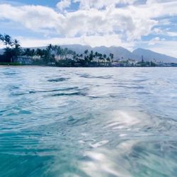 UHMC Lahaina Education Center - Baby beach across the street