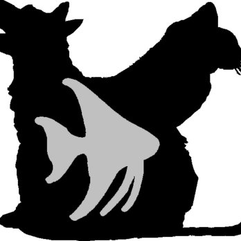 Privileged Pets - Privileged Pets LLC Home Pet Care - Pet Sitting Near Me - Katy, Texas Privileged Pets - Privileged Pets LLC Home Pet Care - Pet Sitting Near Me - Katy, Texas