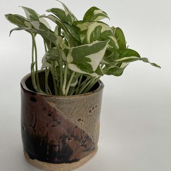 Clay - planter made at Clay - Arts & Entertainment Near Me - Long Beach, California