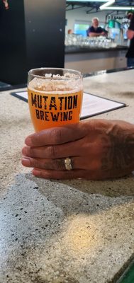 Mutation Brewing Company by null