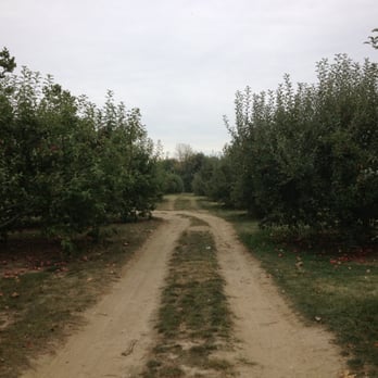 Anderson Orchard - Farmers Market Near Me - Mooresville, Indiana