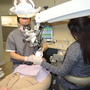 Photo of Wolgin Endodontics