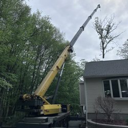 Gate City Tree Service