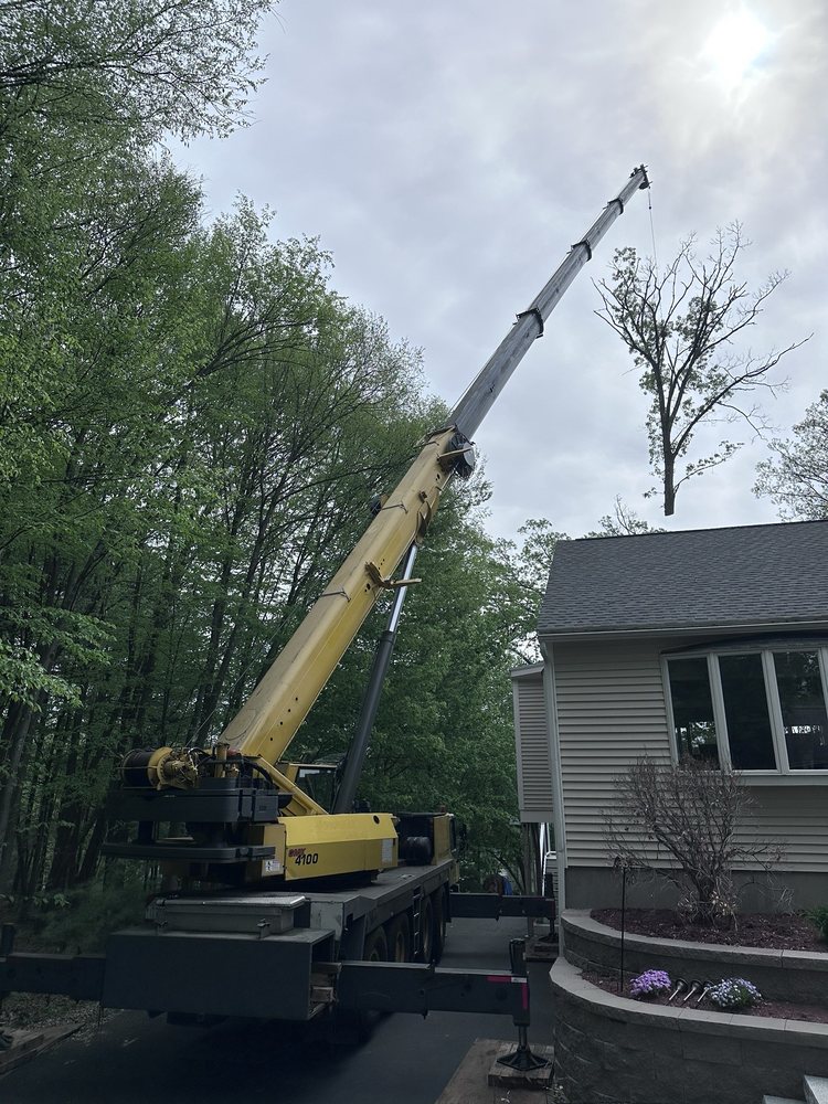 Gate City Tree Service - tree service in Nashua, NH